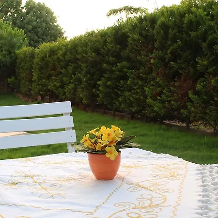 Marti Apart